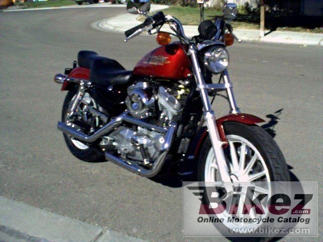Big John Boyd 883 sportster standard picture and wallpaper from Bikez.com